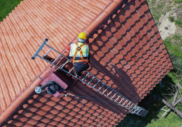 Best Roof Insulation Installation  in Ladoga, IN